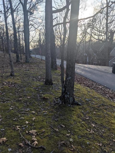 3324 Pine Clf, Glencoe, MO 63038 photo 6