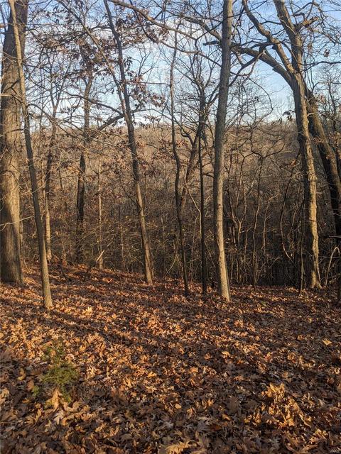 3324 Pine Clf, Glencoe, MO 63038 photo 15