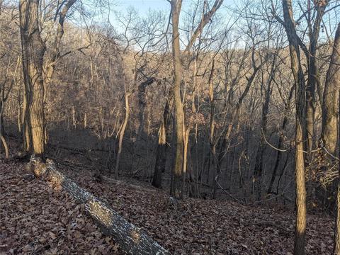 3324 Pine Clf, Glencoe, MO 63038 photo 11