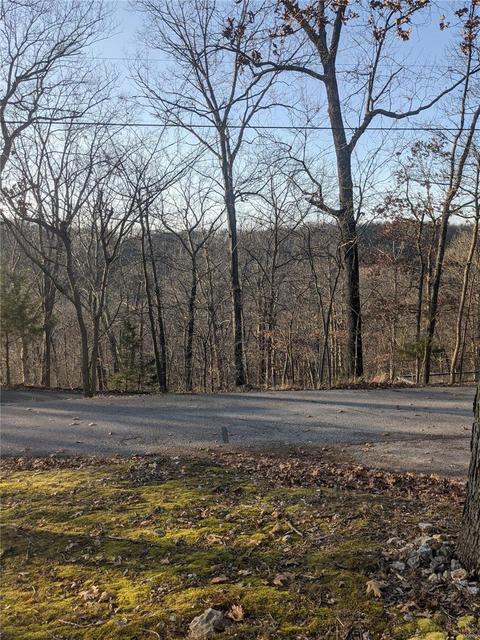 3324 Pine Clf, Glencoe, MO 63038 photo 2