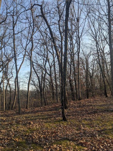 3324 Pine Clf, Glencoe, MO 63038 photo 17