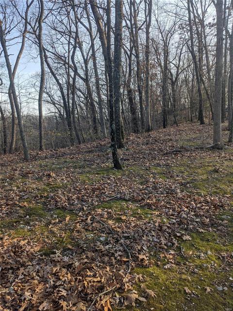 3324 Pine Clf, Glencoe, MO 63038 photo 8