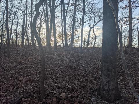 3324 Pine Clf, Glencoe, MO 63038 photo 1