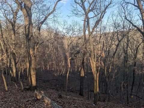 3324 Pine Clf, Glencoe, MO 63038 photo 12