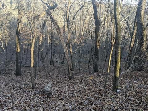 3324 Pine Clf, Glencoe, MO 63038 photo 5
