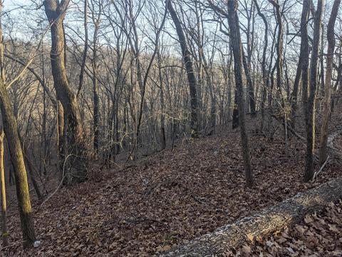 3324 Pine Clf, Glencoe, MO 63038 photo 9