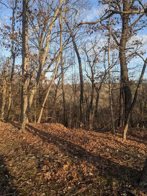 3324 Pine Clf, Glencoe, MO 63038 photo 13