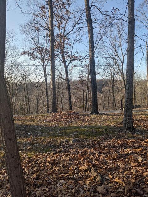3324 Pine Clf, Glencoe, MO 63038 photo 16