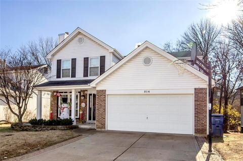 514 Oaktree Crossing Ct, Ballwin, MO 63021 photo 38