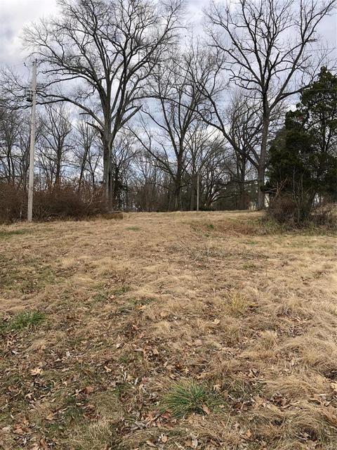 519 Lewis Rd, Eureka, MO 63025 photo 2