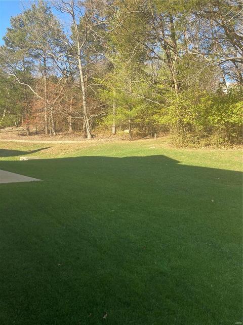 17245 Hilltop Ridge Dr, Eureka, MO 63025 photo 31