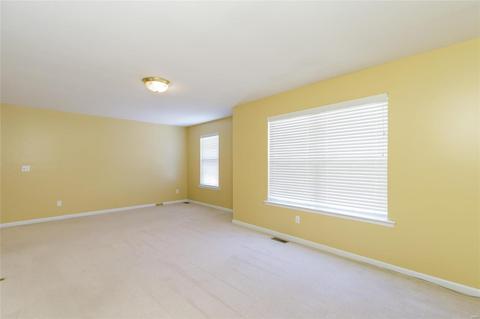 8 Cherokee Sunset Ct, O'fallon, MO 63366 photo 44