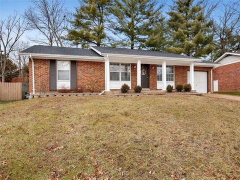 729 Le Manns Dr, Manchester, MO 63021 photo 20