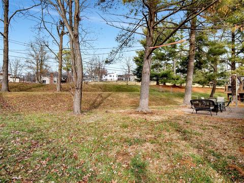 729 Le Manns Dr, Manchester, MO 63021 photo 18