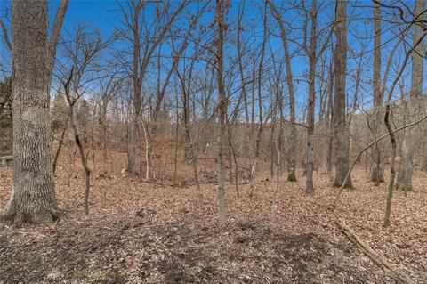 17437 Radcliffe Place Dr, Wildwood, MO 63025 photo 42