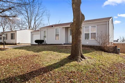 110 Wild Winds, O'fallon, MO 63368 photo 24