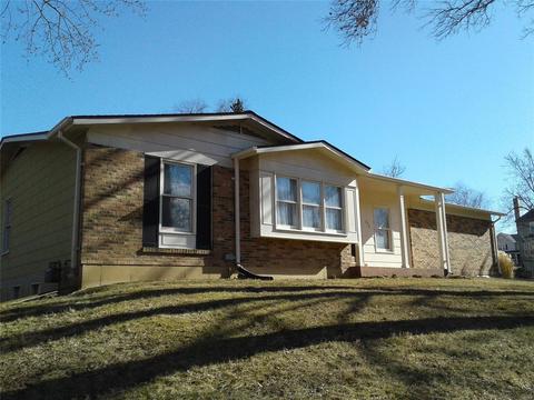 246 Ries Rd, Ballwin, MO 63021 photo 63
