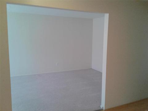 246 Ries Rd, Ballwin, MO 63021 photo 38