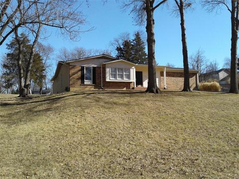246 Ries Rd, Ballwin, MO 63021 photo 62