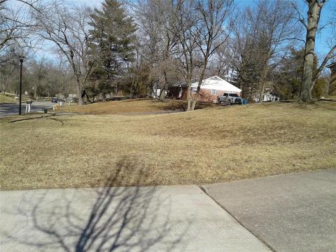 246 Ries Rd, Ballwin, MO 63021 photo 54