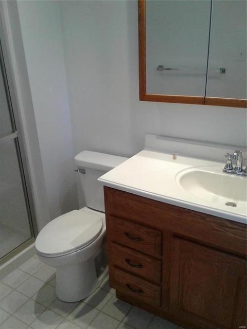 246 Ries Rd, Ballwin, MO 63021 photo 23