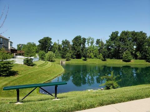 469 Wild Oak Dr, O'fallon, MO 63368 photo 10