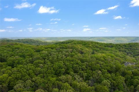 1350 Bear Canyon Rd, Wildwood, MO 63021 photo 72