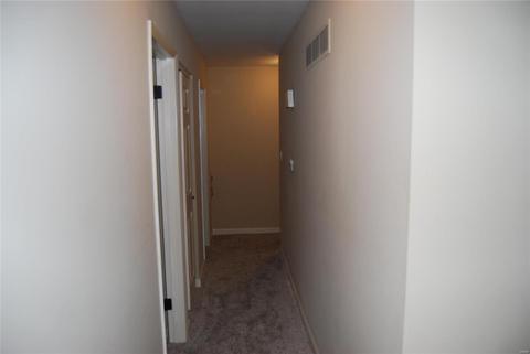 271 Treasure Cv, Ballwin, MO 63021 photo 10