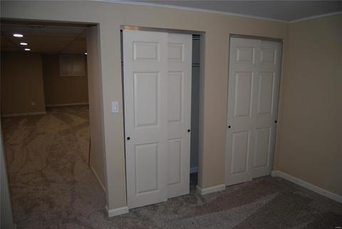 271 Treasure Cv, Ballwin, MO 63021 photo 20