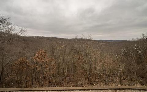 1556 Wolf Trail Rd, Wildwood, MO 63021 photo 64