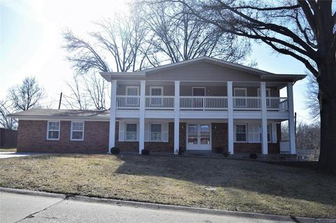 210 Capri Dr, O'fallon, MO 63366 photo 38