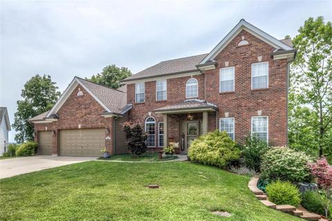 821 Meramec View Ct, Eureka, MO 63025 photo 1