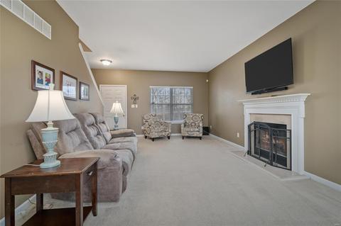 212 Spring Borough Dr, O'fallon, MO 63368 photo 21