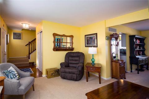 13 Ohio Valley Ct, O'fallon, MO 63366 photo 16