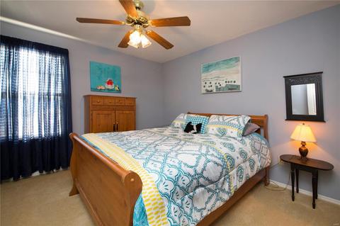 13 Ohio Valley Ct, O'fallon, MO 63366 photo 24