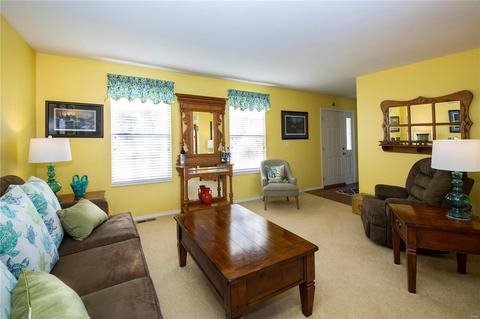 13 Ohio Valley Ct, O'fallon, MO 63366 photo 14