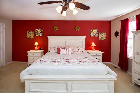 13 Ohio Valley Ct, O'fallon, MO 63366 photo 27