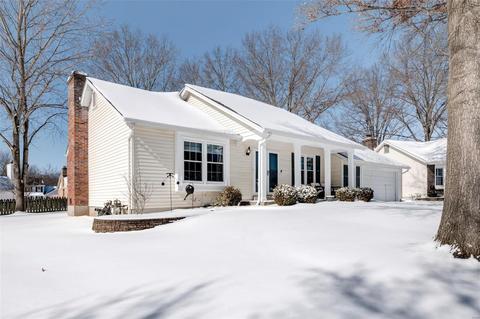738 Galway Dr, Manchester, MO 63021 photo 22