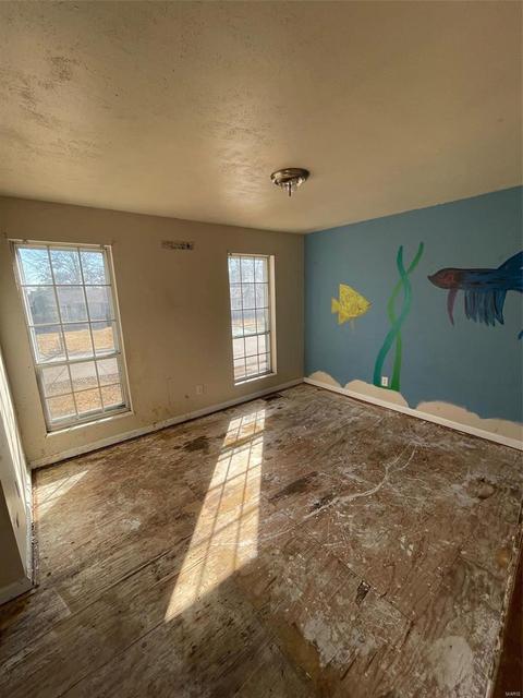 201 Wild Winds Dr, O'fallon, MO 63368 photo 6