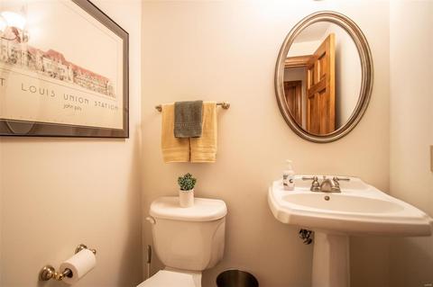 91 Gillette Circle Pass, Weldon Spring, MO 63304 photo 65