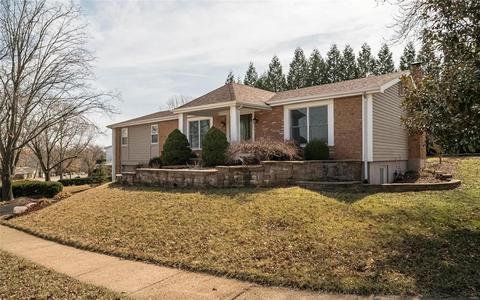 1034 Dutch Mill Dr, Ballwin, MO 63011 photo 45