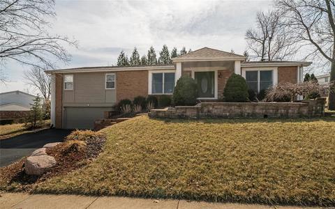 1034 Dutch Mill Dr, Ballwin, MO 63011 photo 42