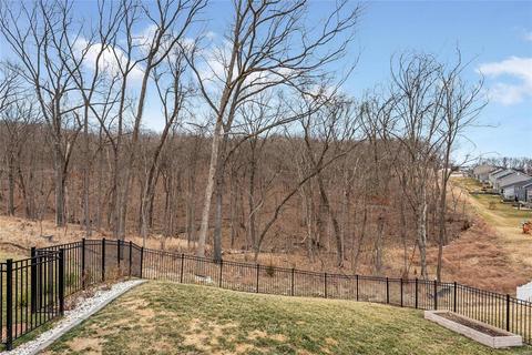 17427 Wyman Rdg, Eureka, MO 63025 photo 26
