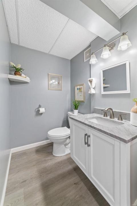532 Audubon Place Ct, Manchester, MO 63021 photo 23