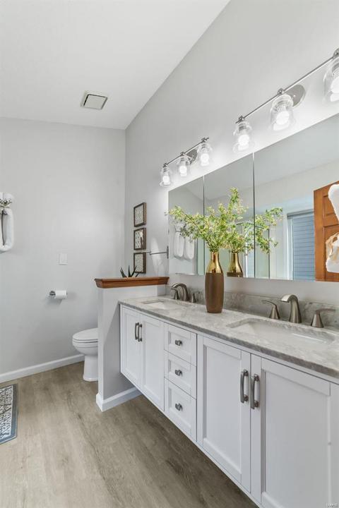 532 Audubon Place Ct, Manchester, MO 63021 photo 17