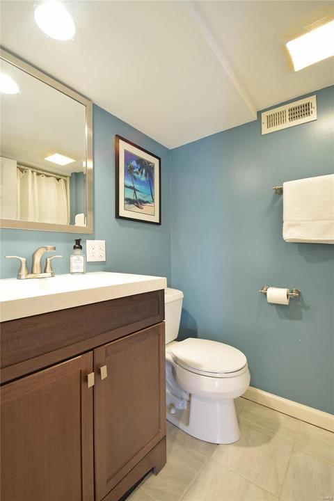 119 Ivy Ct, Ballwin, MO 63011 photo 24