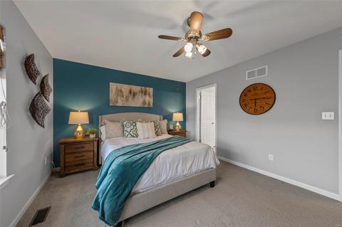 113 Winterset, O'fallon, MO 63366 photo 19
