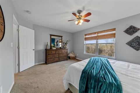 113 Winterset, O'fallon, MO 63366 photo 20