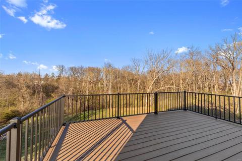 113 Winterset, O'fallon, MO 63366 photo 3