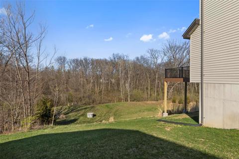 113 Winterset, O'fallon, MO 63366 photo 4